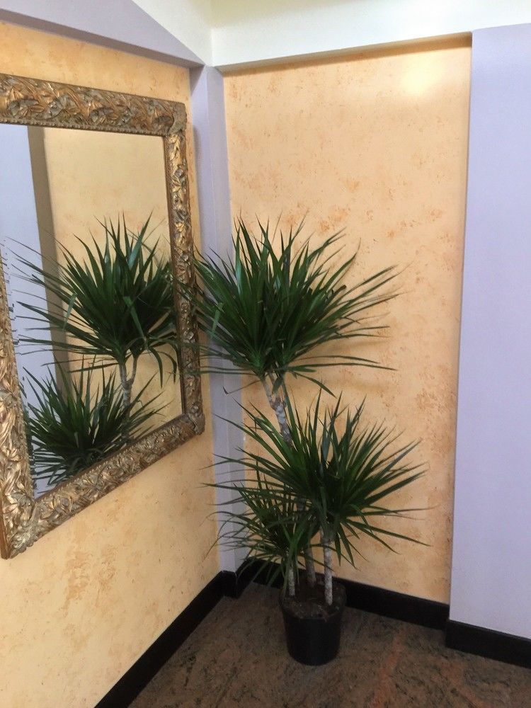 Hotel Marco Polo Self Check-In Bolonia Zewnętrze zdjęcie